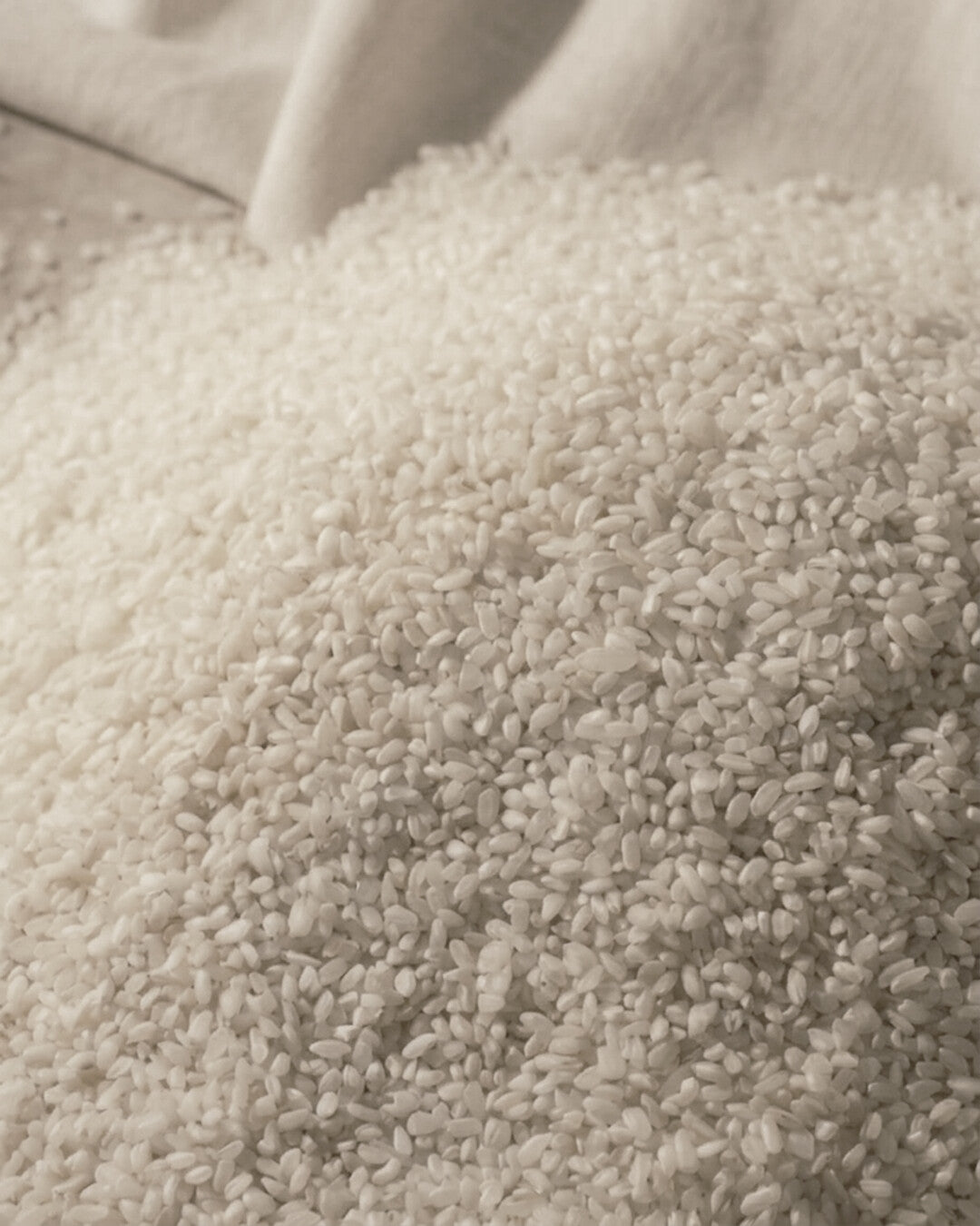 Soju Halle — Korean Rice | The Foundation of Sool